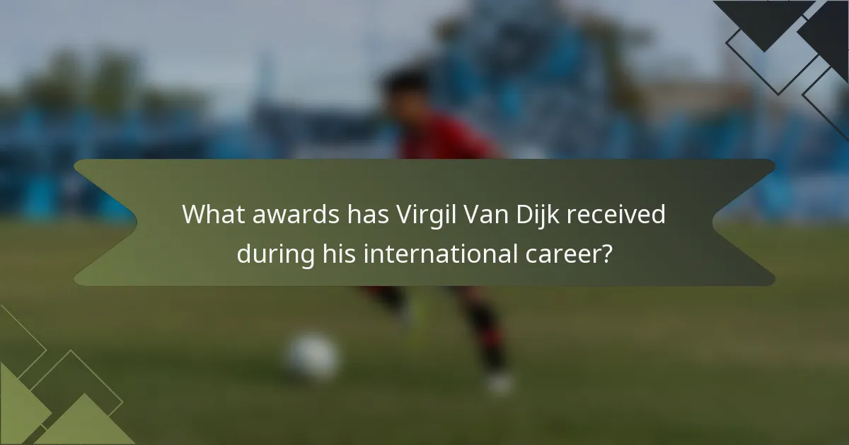 What awards has Virgil Van Dijk received during his international career?